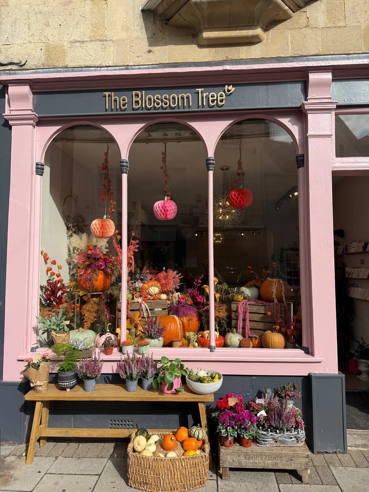 The Blossom Tree