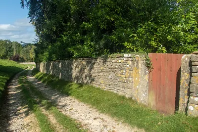 A fine walk along a lane