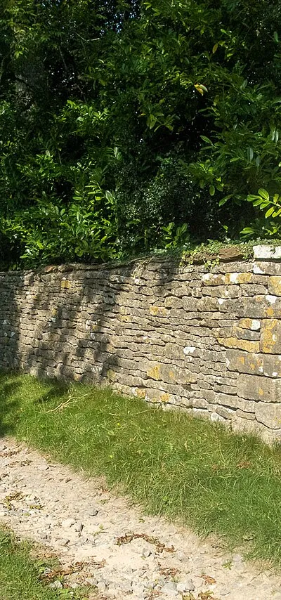 A fine walk along a lane