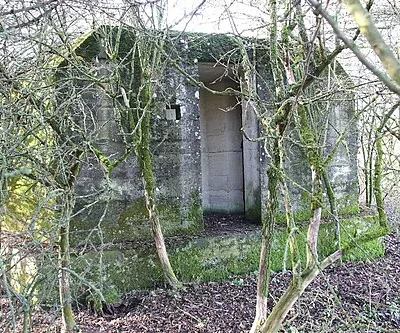 Back through the hedge
