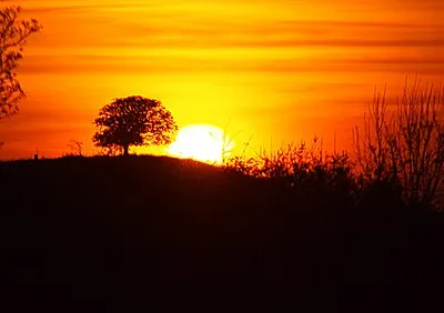 Sunset Whittington Tump fro The Firs