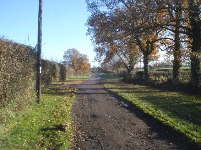 Bush Lane Looking eastwards along the track. The first houses of Callow End village ahead.