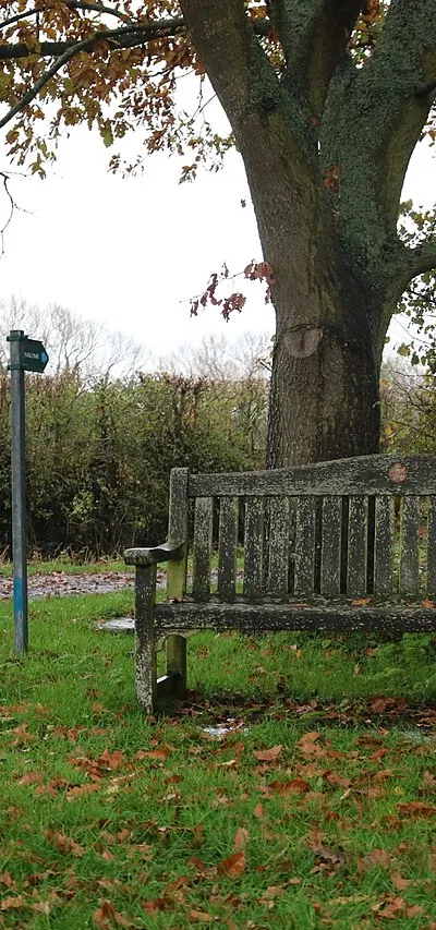 Bench in Yelford