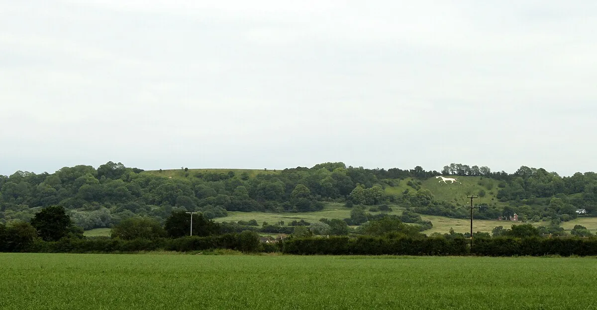 2011 : Field of mowing grass near Common Farm