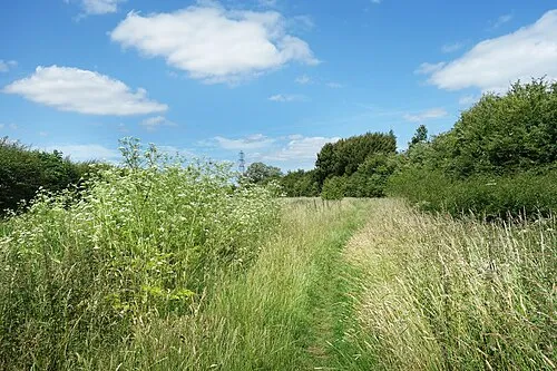 Bridleway, Rushy Common