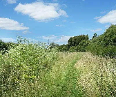 Bridleway, Rushy Common