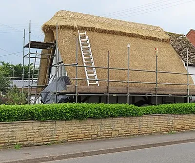 A new thatch