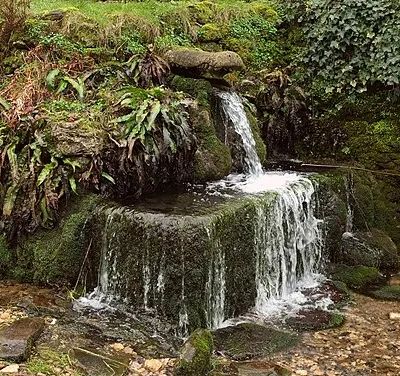 Compton Abdale crocodile