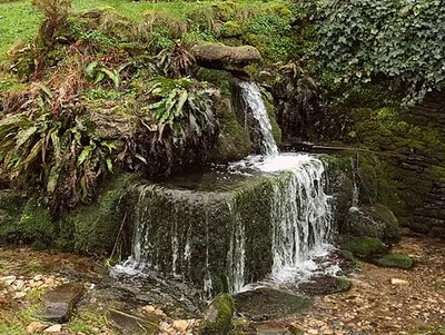 Compton Abdale crocodile