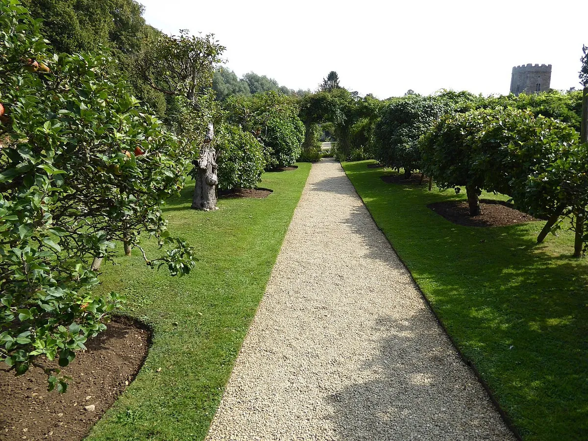 Apple trees at Rousham