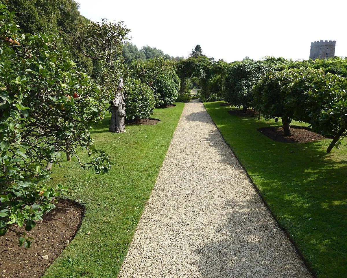 Apple trees at Rousham