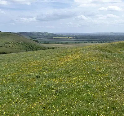 From Stanton St Bernard to Wansdyke and return [61]