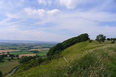 Buckholt Wood on the escarpment of Frocester Hill