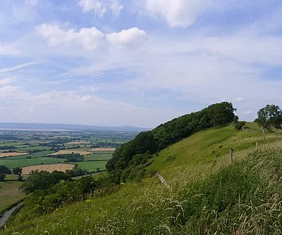 Buckholt Wood on the escarpment of Frocester Hill