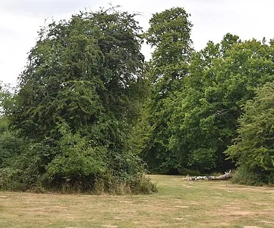 Grassy area at Postern Hill