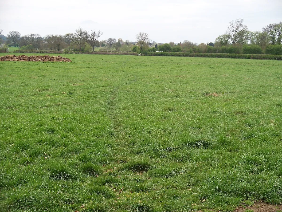 Across the field