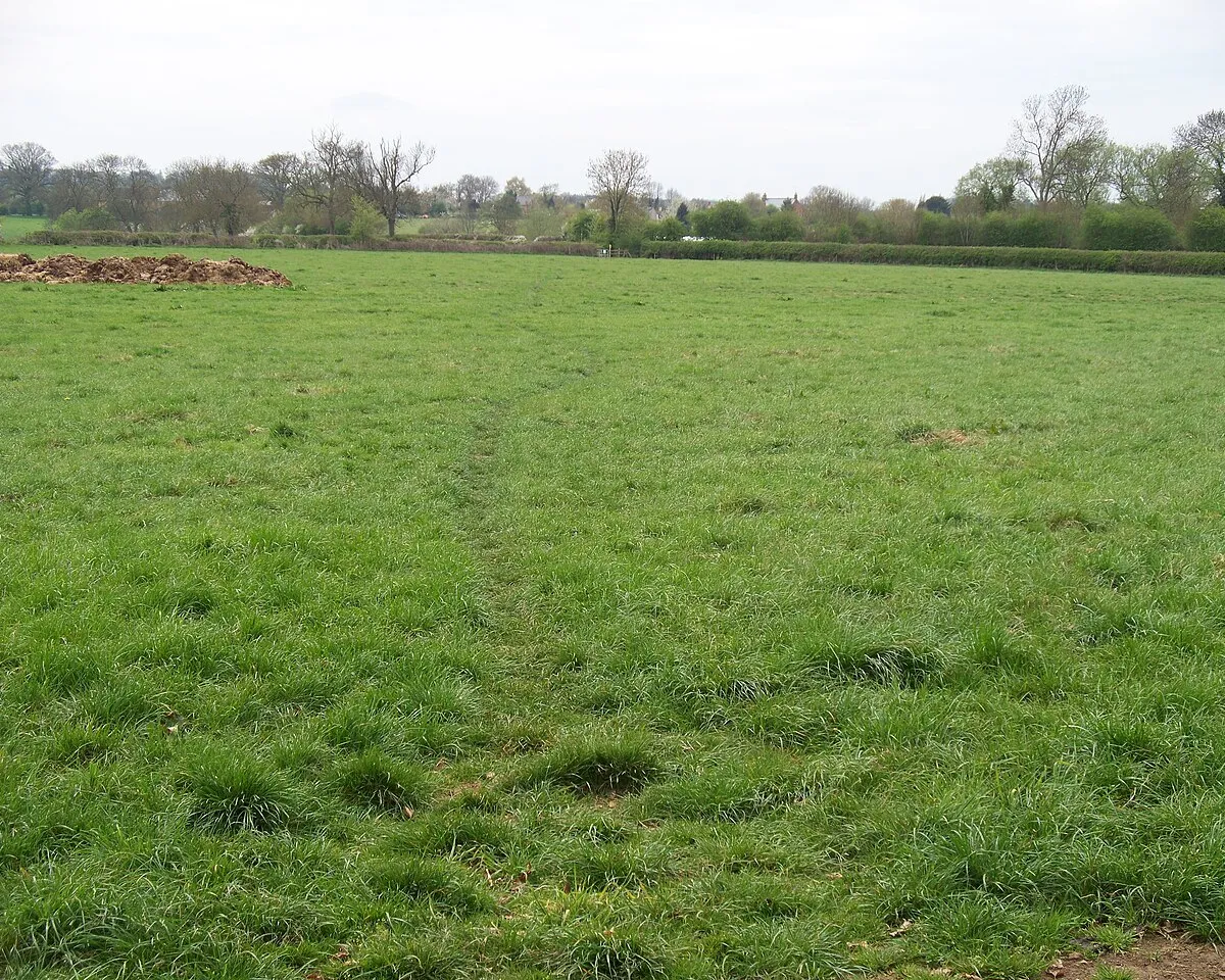 Across the field
