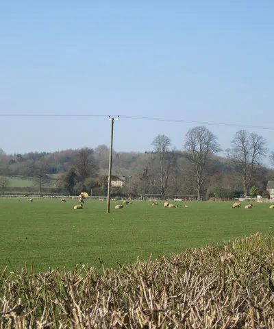 Field near Shutford Manor