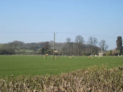 Field near Shutford Manor