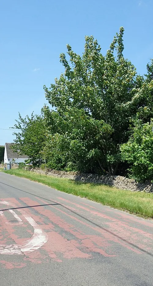 Fordwells