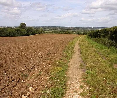 Bridleway alongside a field at Chilswell