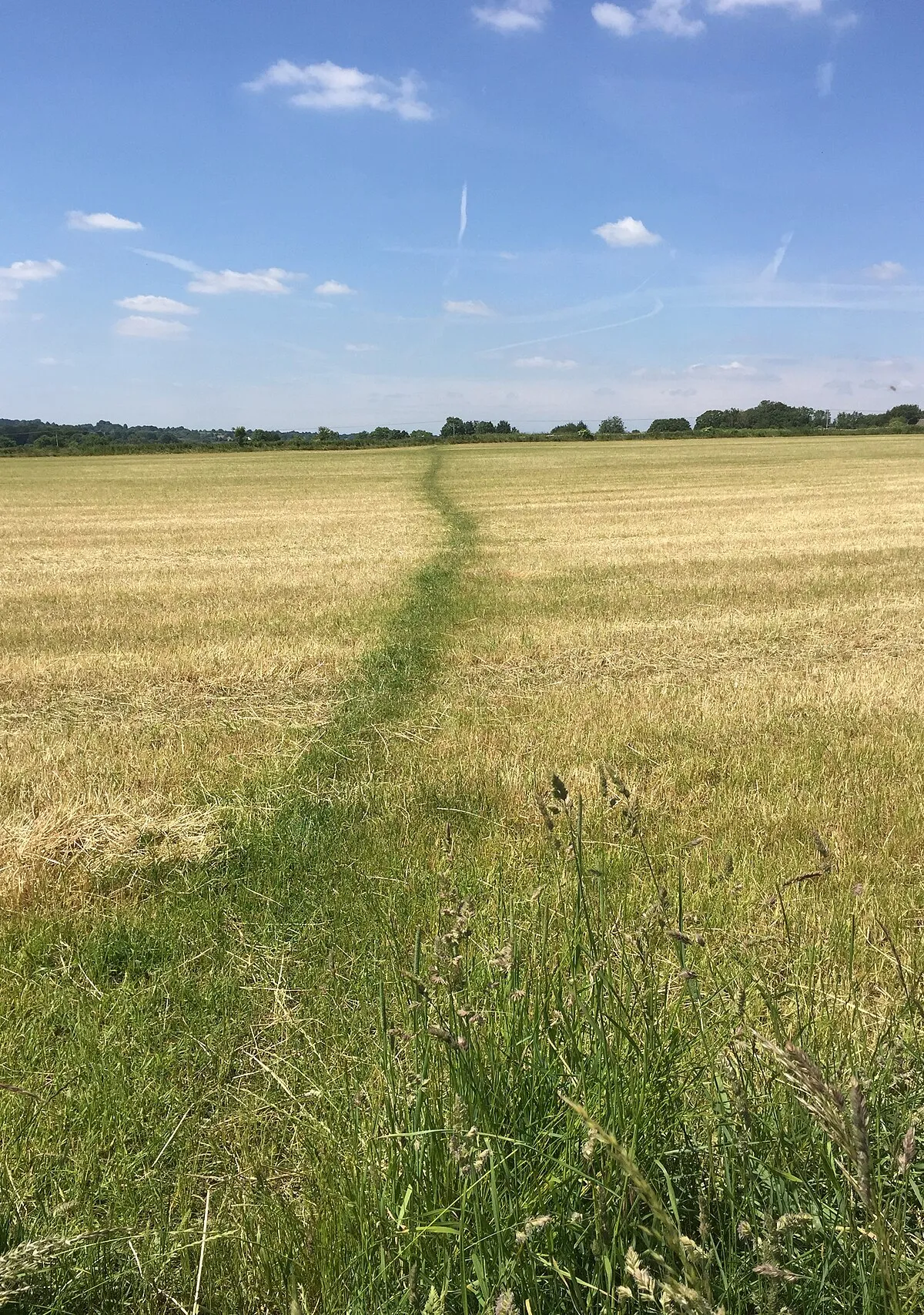 A well worn path
