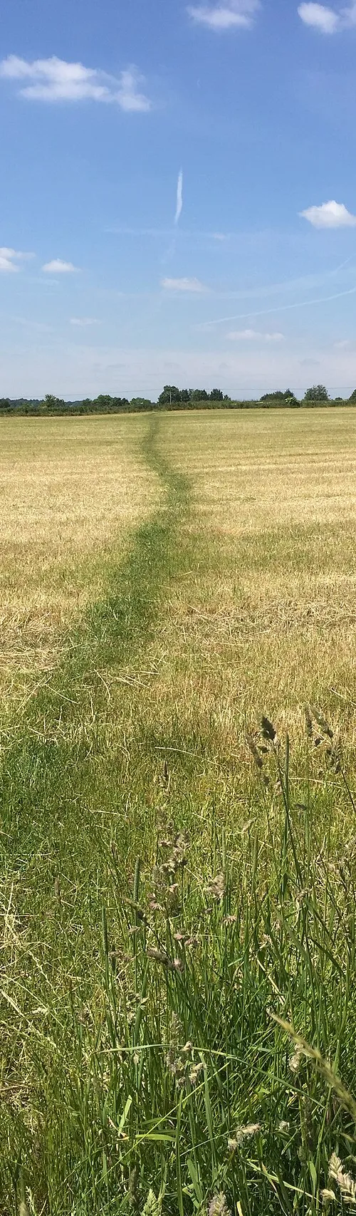 Chapel Plaister