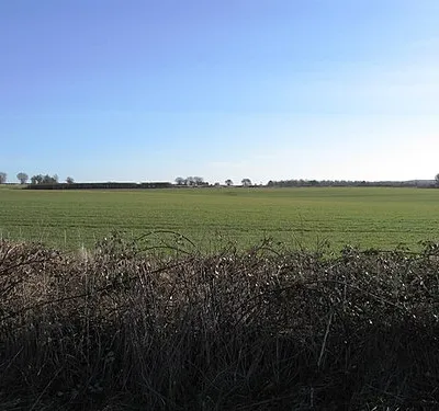 Farmland