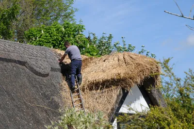 A thatcher at work