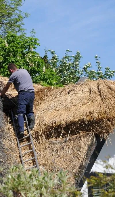 A thatcher at work