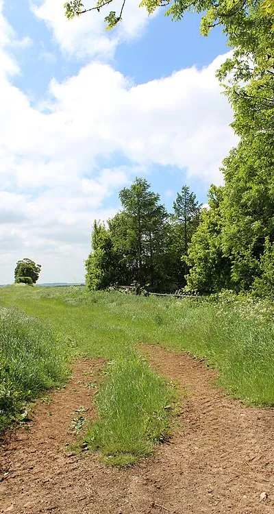 An entrance to a field, next to Chipping Norton Road