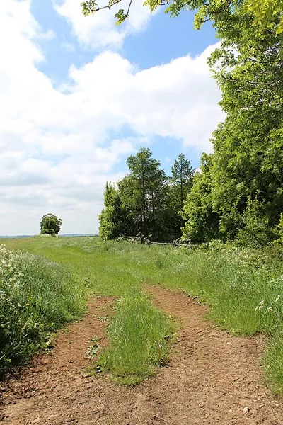 An entrance to a field, next to Chipping Norton Road
