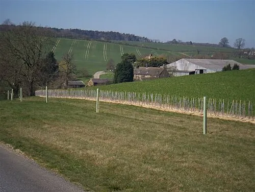 Blenheim Farm Nature Reserve