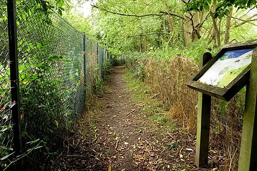 An information panel on the Countryside Walk