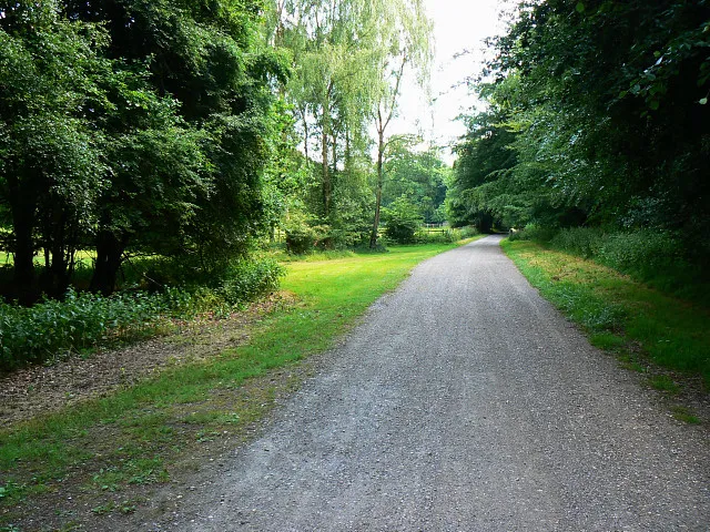 Track from the A346, near Cadley The track provides access into Savernake Forest. Pedestrian access is allowed at all times but vehicles can't get in after 15.00 hours.