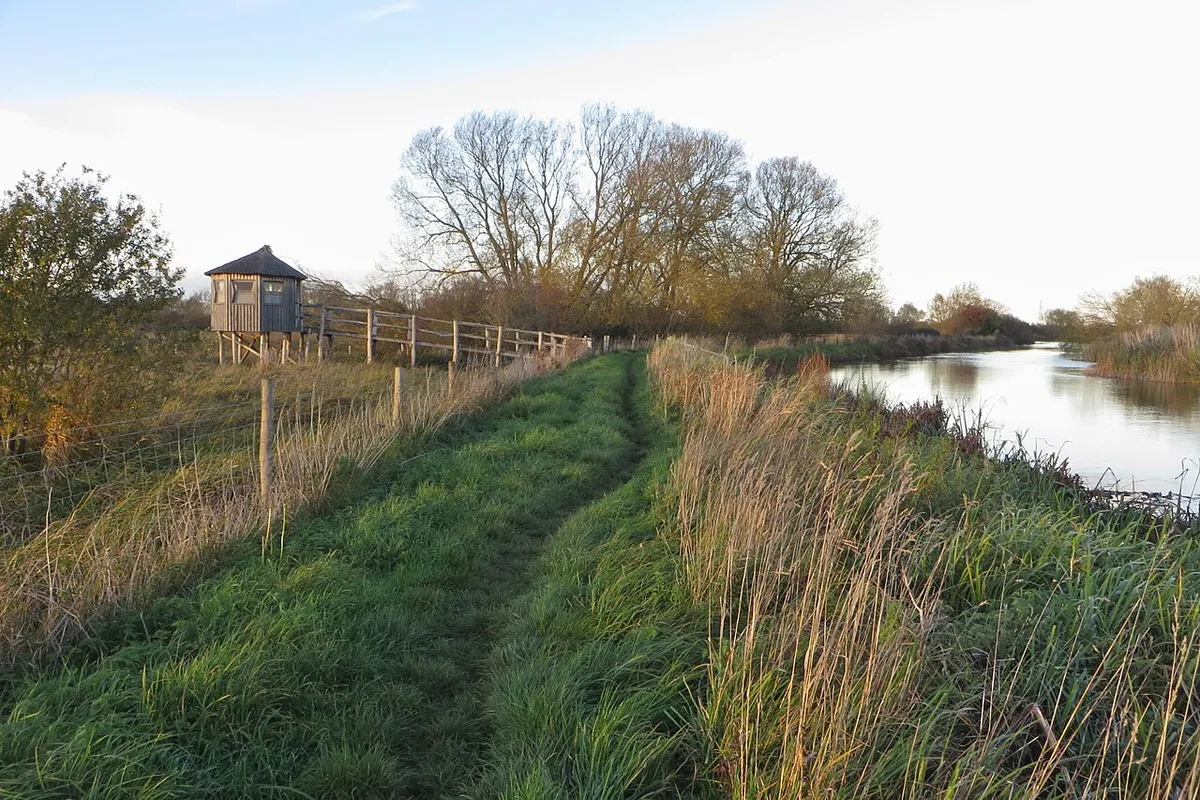 A hide by the Thames Path