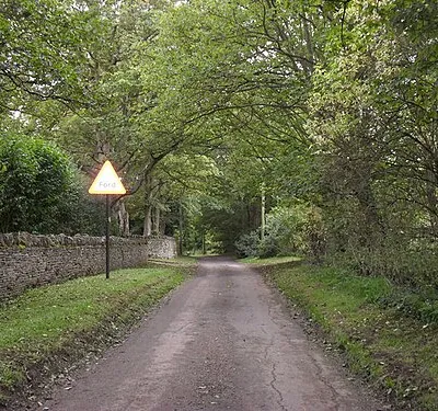 Ford ahead