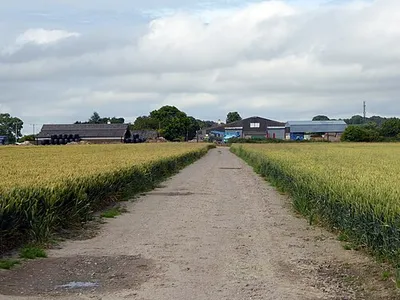 Bupton Hill Farm