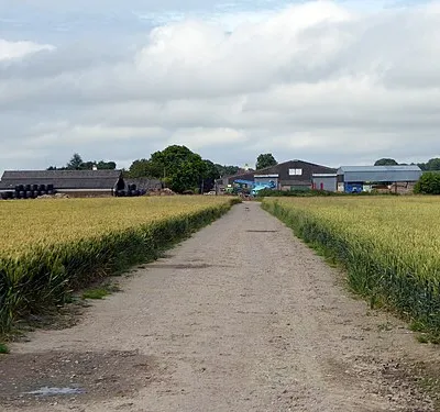 Bupton Hill Farm