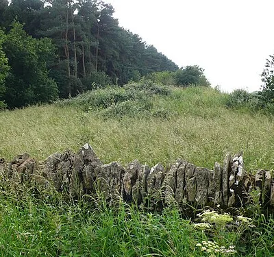 Tumulus near Oxwold House
