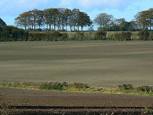 Farmland north of the Broad Town road The land here has recently been cultivated and probably sown with next year's crop. The northern gridline crosses the image left to right so that the lower half of the image is in this square.
