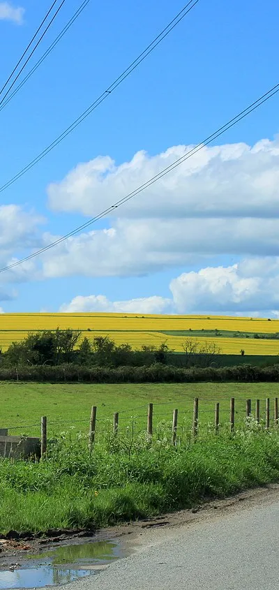 2012 : Pylons line up near Coate
