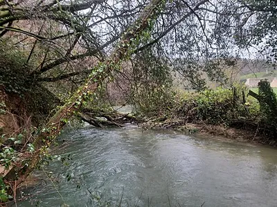By Brook between Weavern Farm and Box, Wiltshire, England. South of Weavern Farm, Slaughterford.