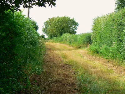 Bridleway to Charlham Farm and beyond, Down Ampney