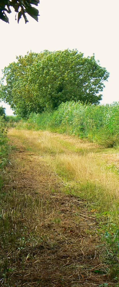 Bridleway to Charlham Farm and beyond, Down Ampney