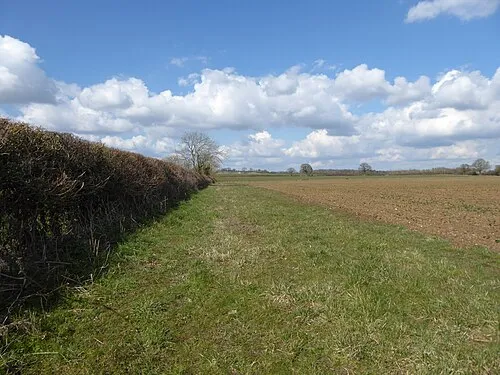 Arable land, Down Ampney