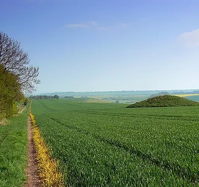A tumulus and the bridleway to Aldbourne, Sugar Hill