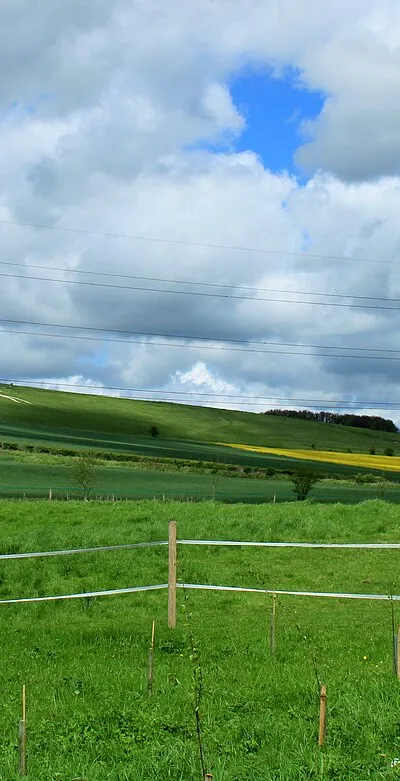 2012 : North east from Consciences Lane