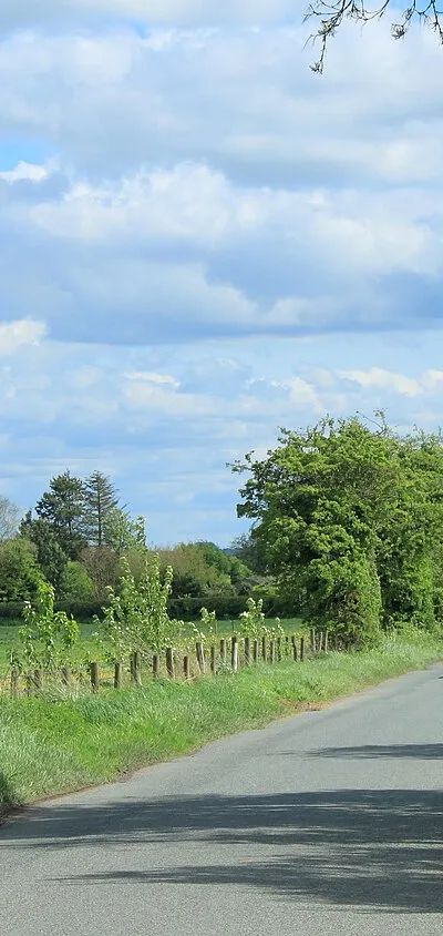 2012 : Minor road heading to Little Horton