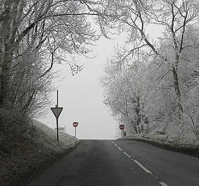 Approaching the top of Frocester Hill The roadside trees are covered with hoar frost on this dismal New Year's Day morning.